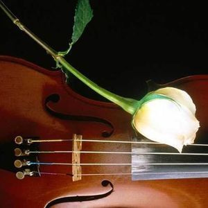 Meet your Posher, Ghadah